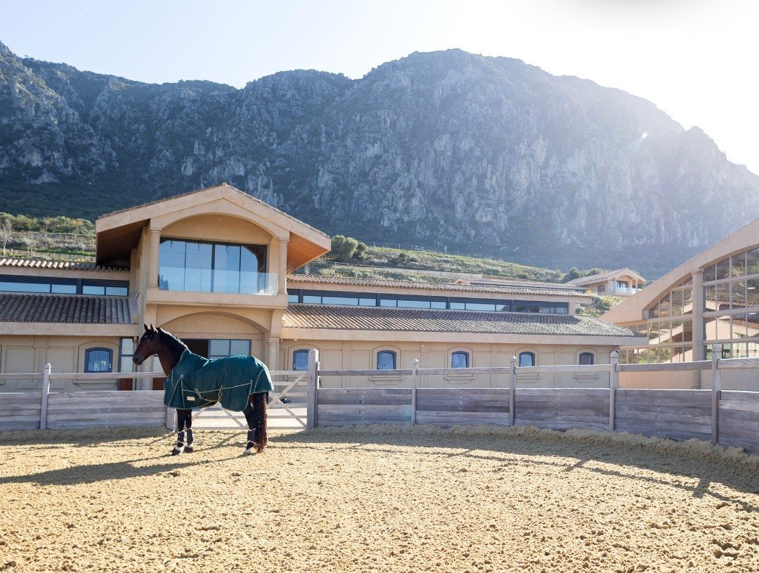 Horse in a sand arena before an indoor riding hall