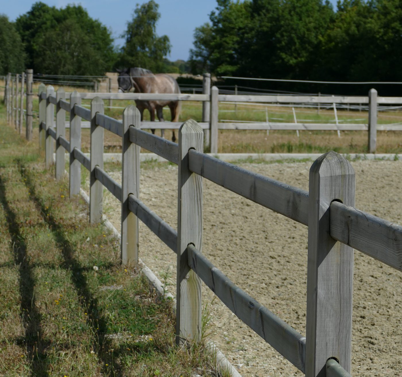 Horses grazing inside post and rail paddock fencing