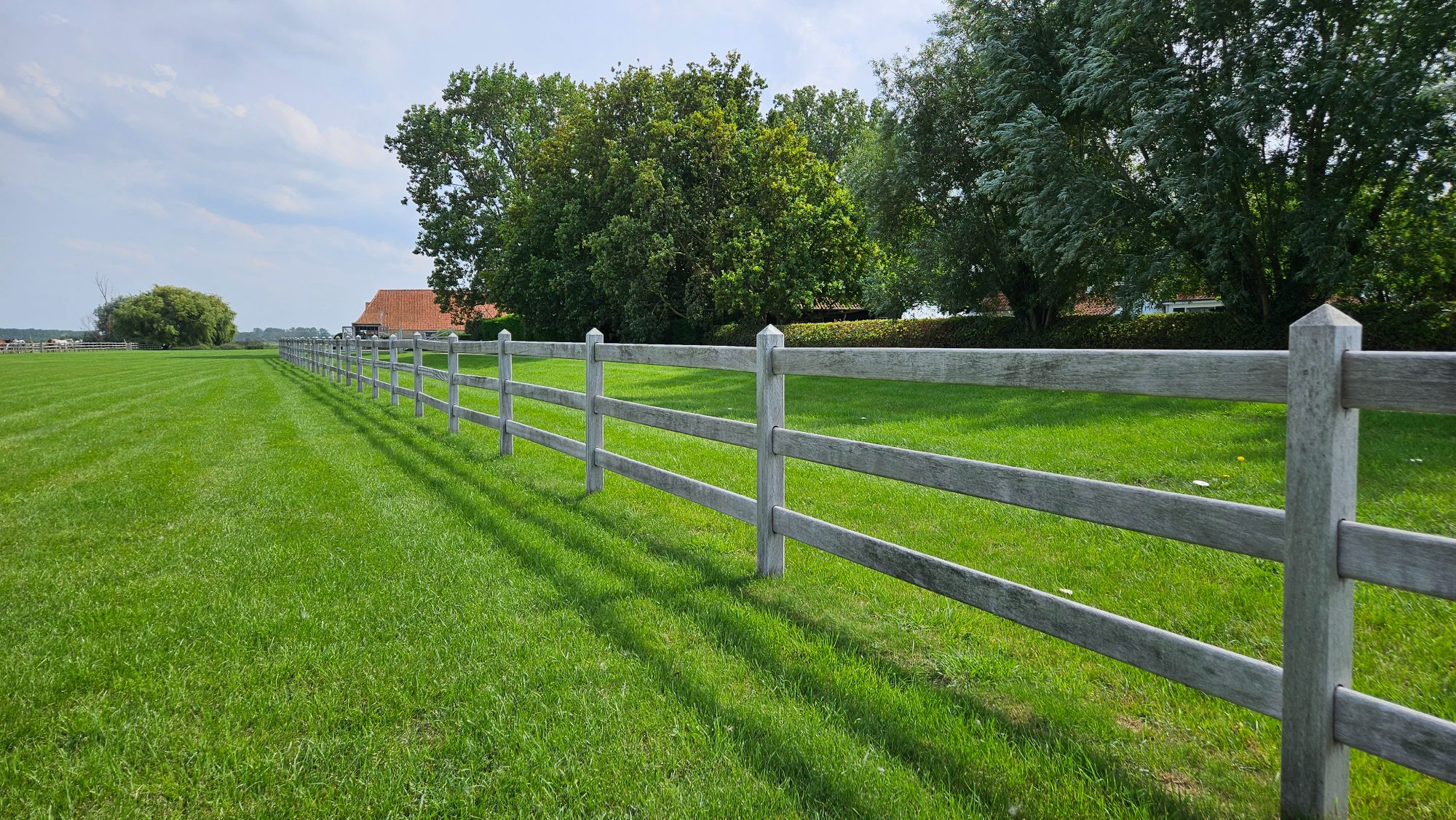 Long post and rail paddock running into a bright pasture