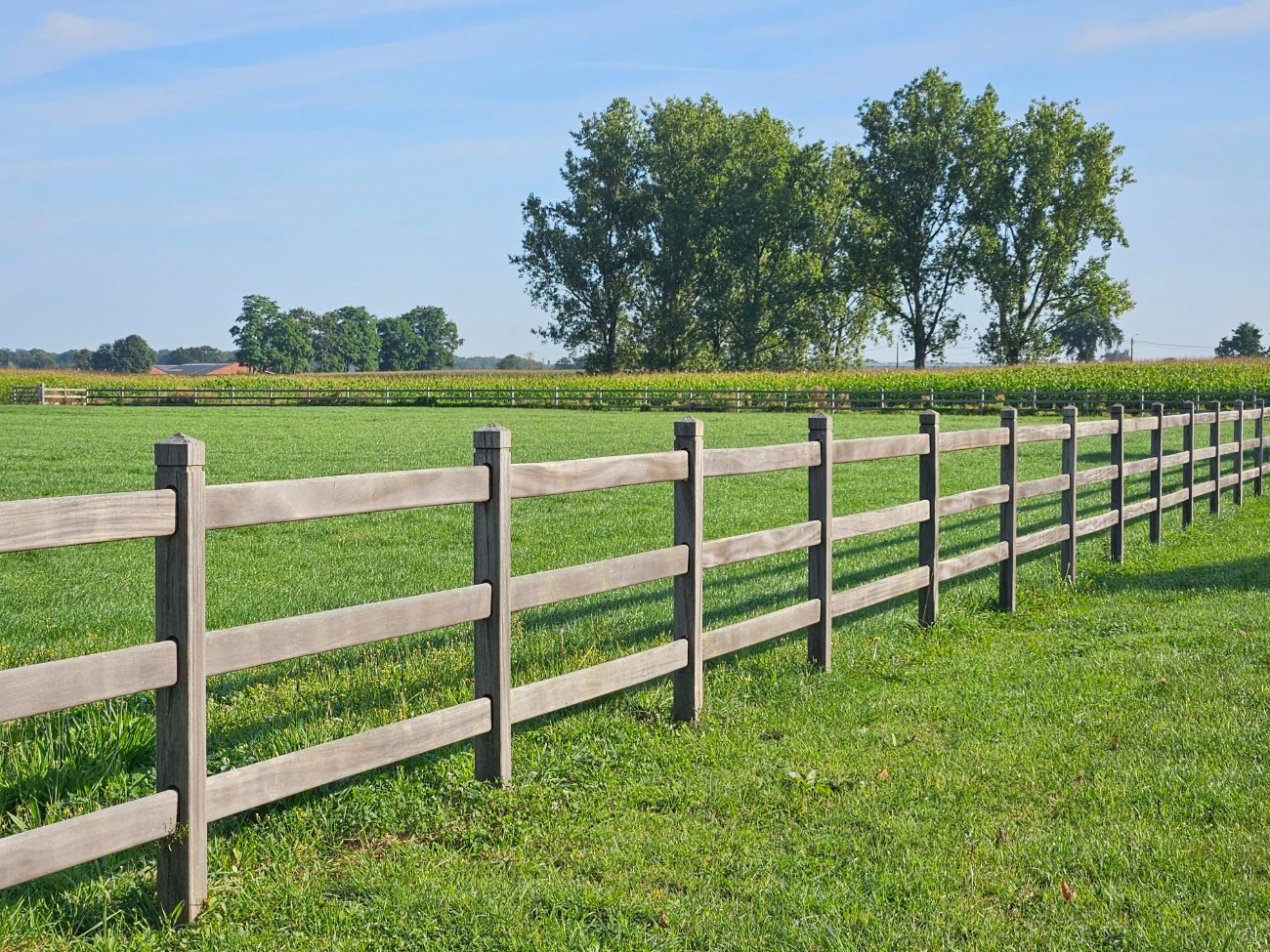 Long fence line along a green pasture
