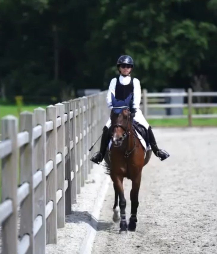 Rider schooling a horse beside the fence