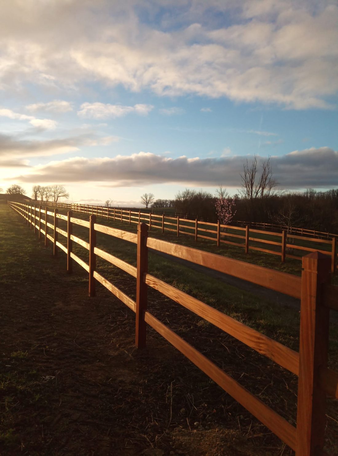 Hardwood fence receding toward a sunset