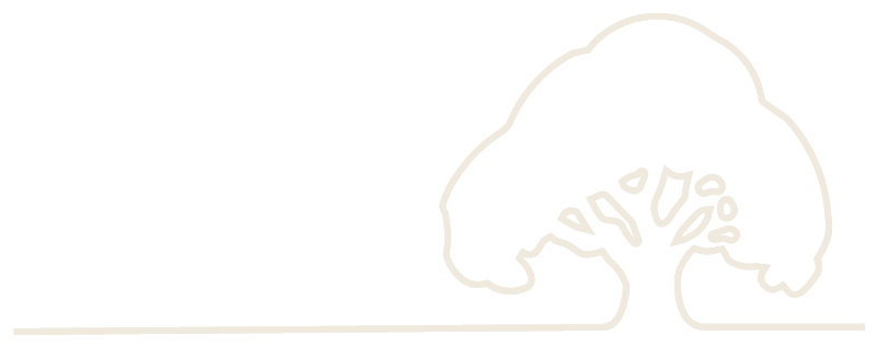 Primewood